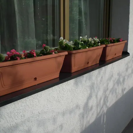 Zita Apartman * Balatonalmadi