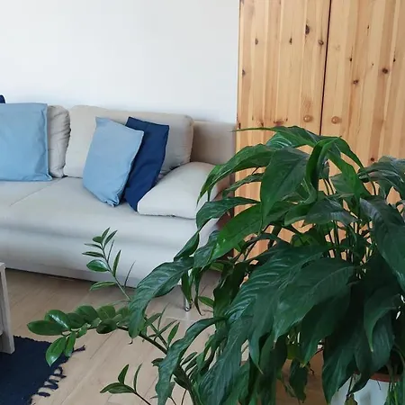 Zita Apartman Apartment *